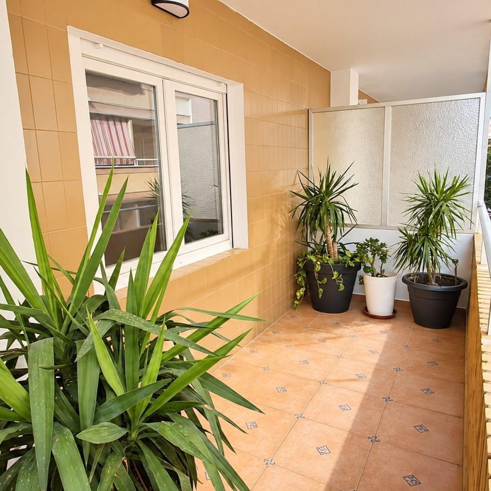 Appartement in Torrevieja-9
