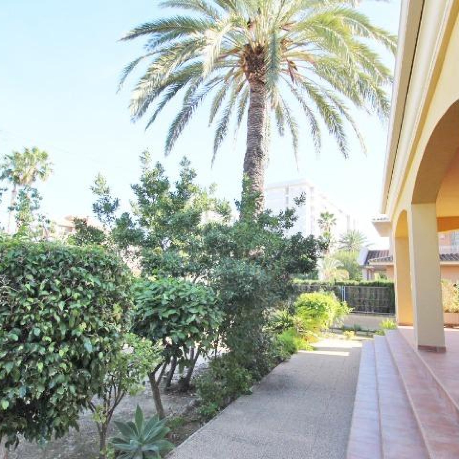  in Elche-16