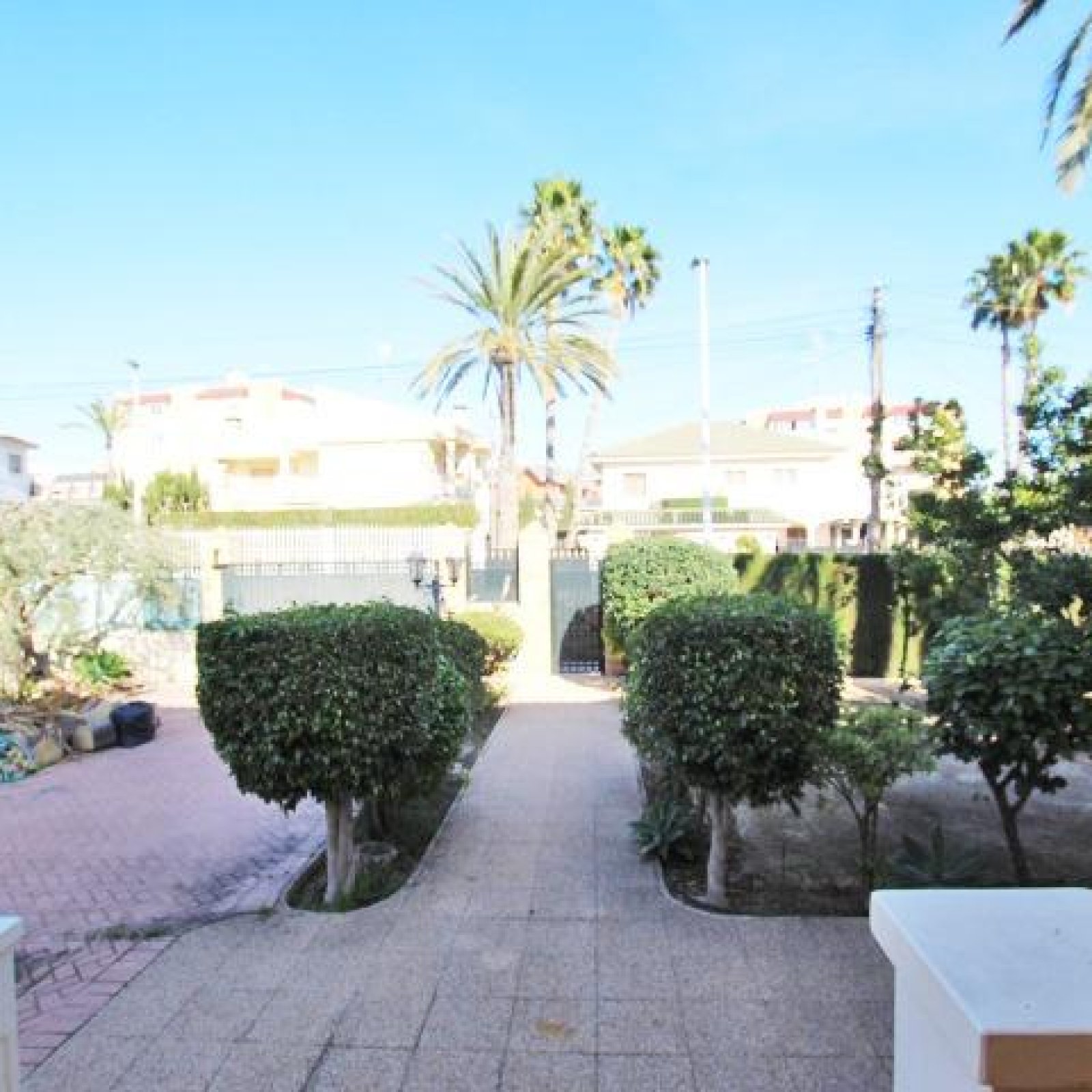  in Elche-19