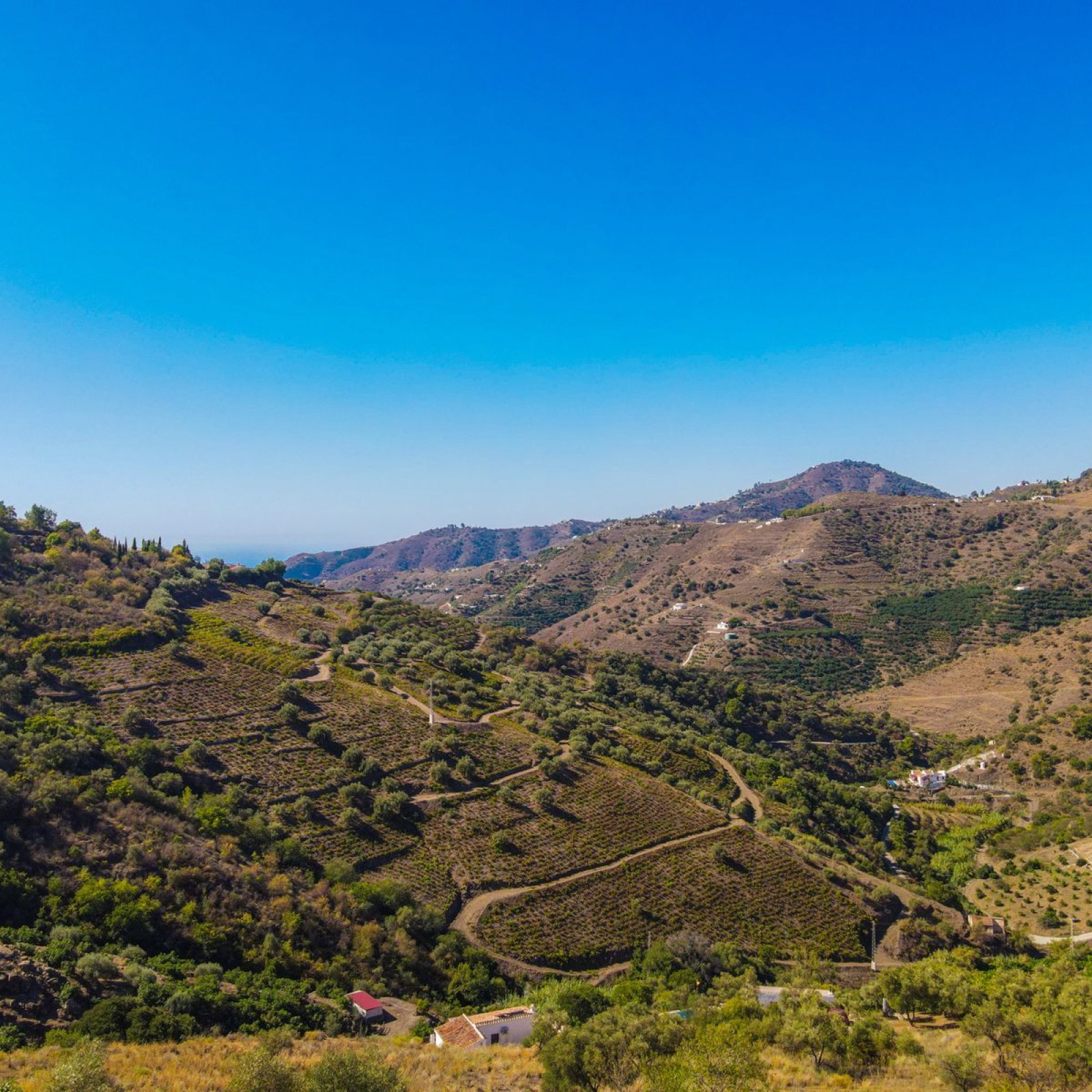  in Cómpeta-37
