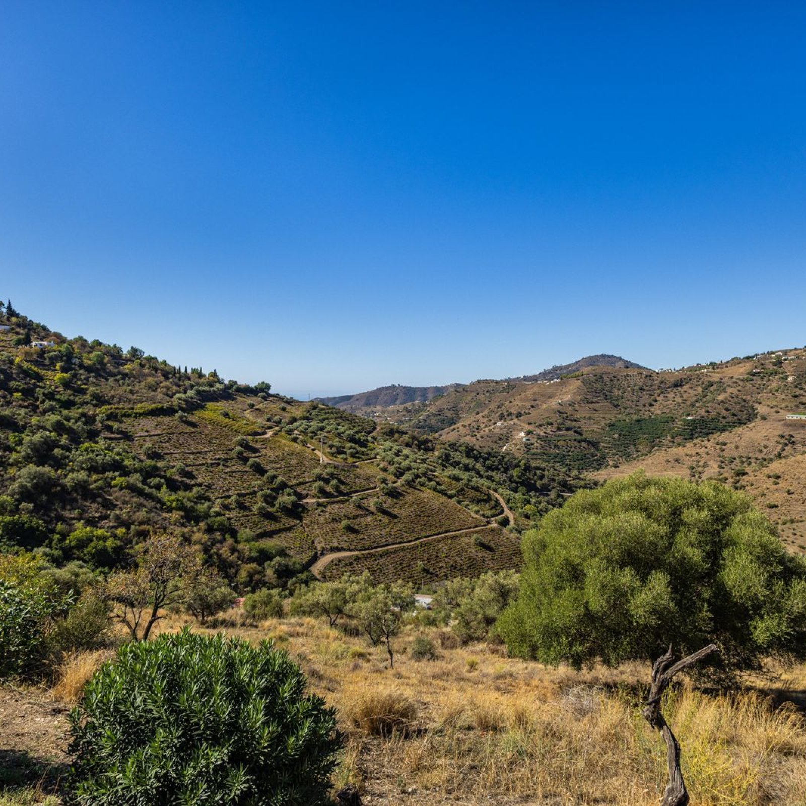  in Cómpeta-32