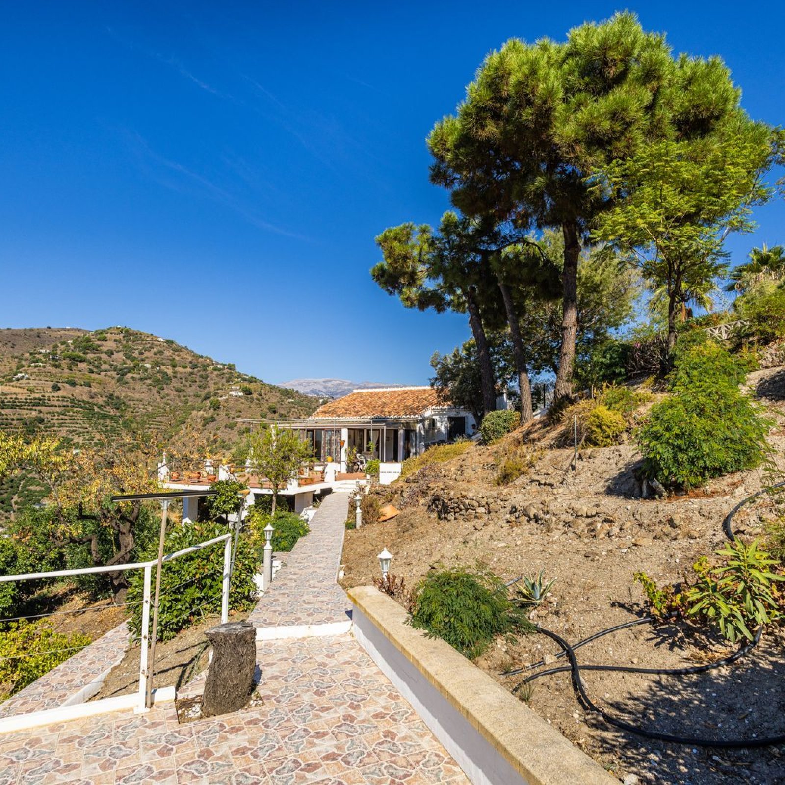  in Cómpeta-33