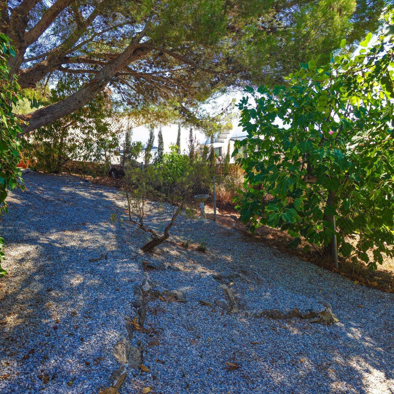  in Cómpeta-53
