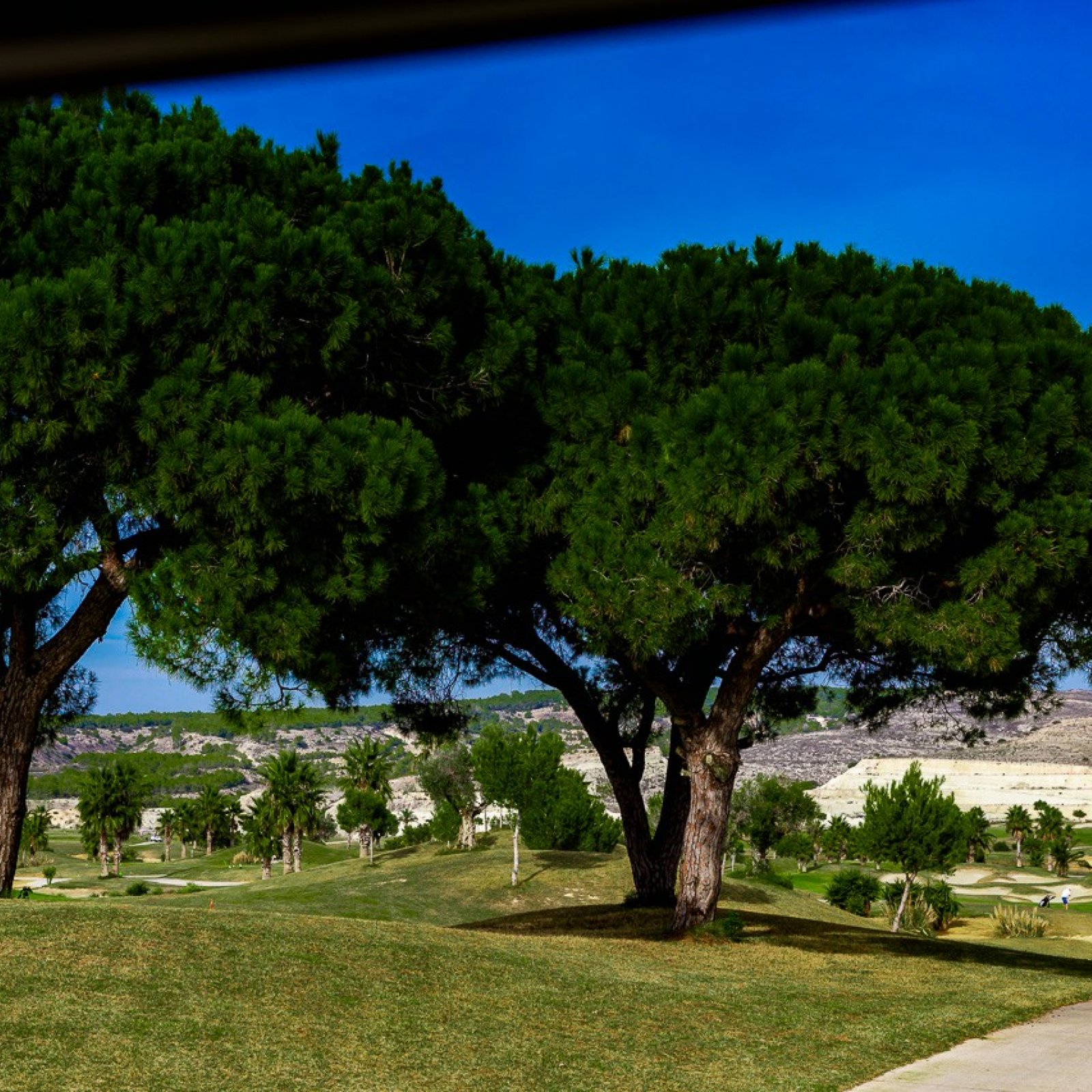 Appartement in Vistabella Golf Entre Naranjos-21