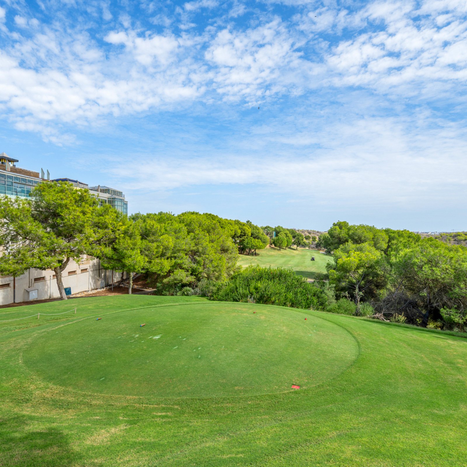 Penthouse in Dehesa de Campoamor-31