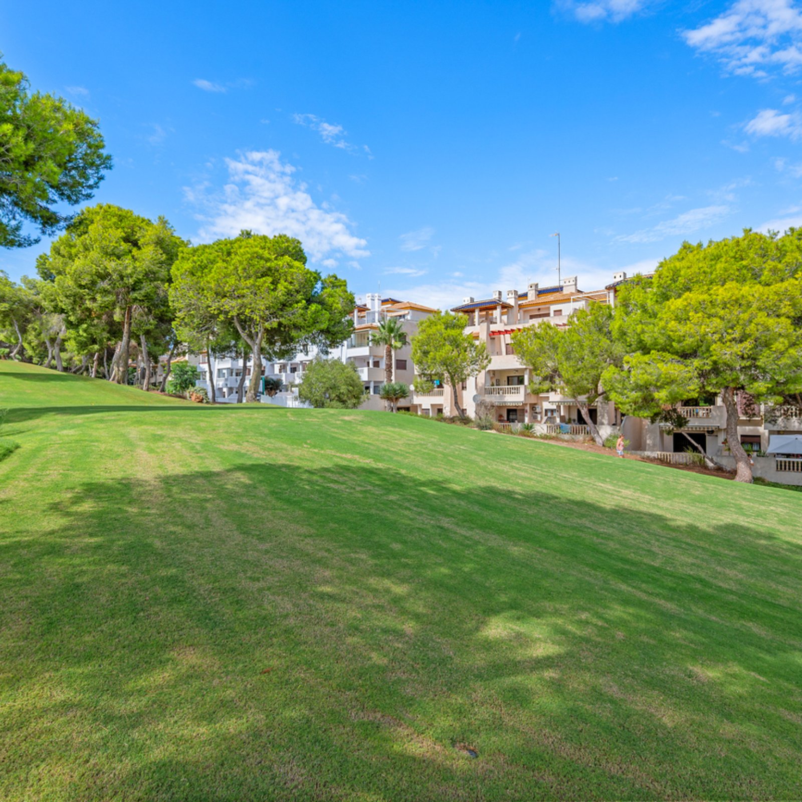 Penthouse in Dehesa de Campoamor-32