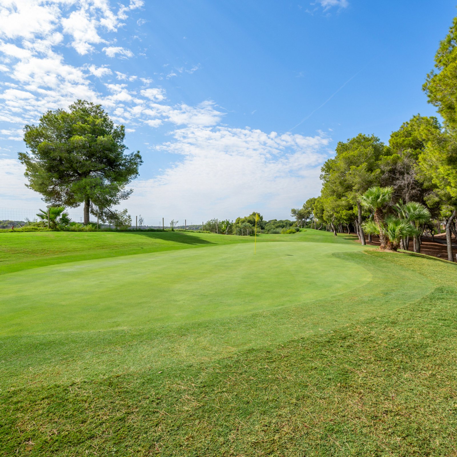 Penthouse in Dehesa de Campoamor-23