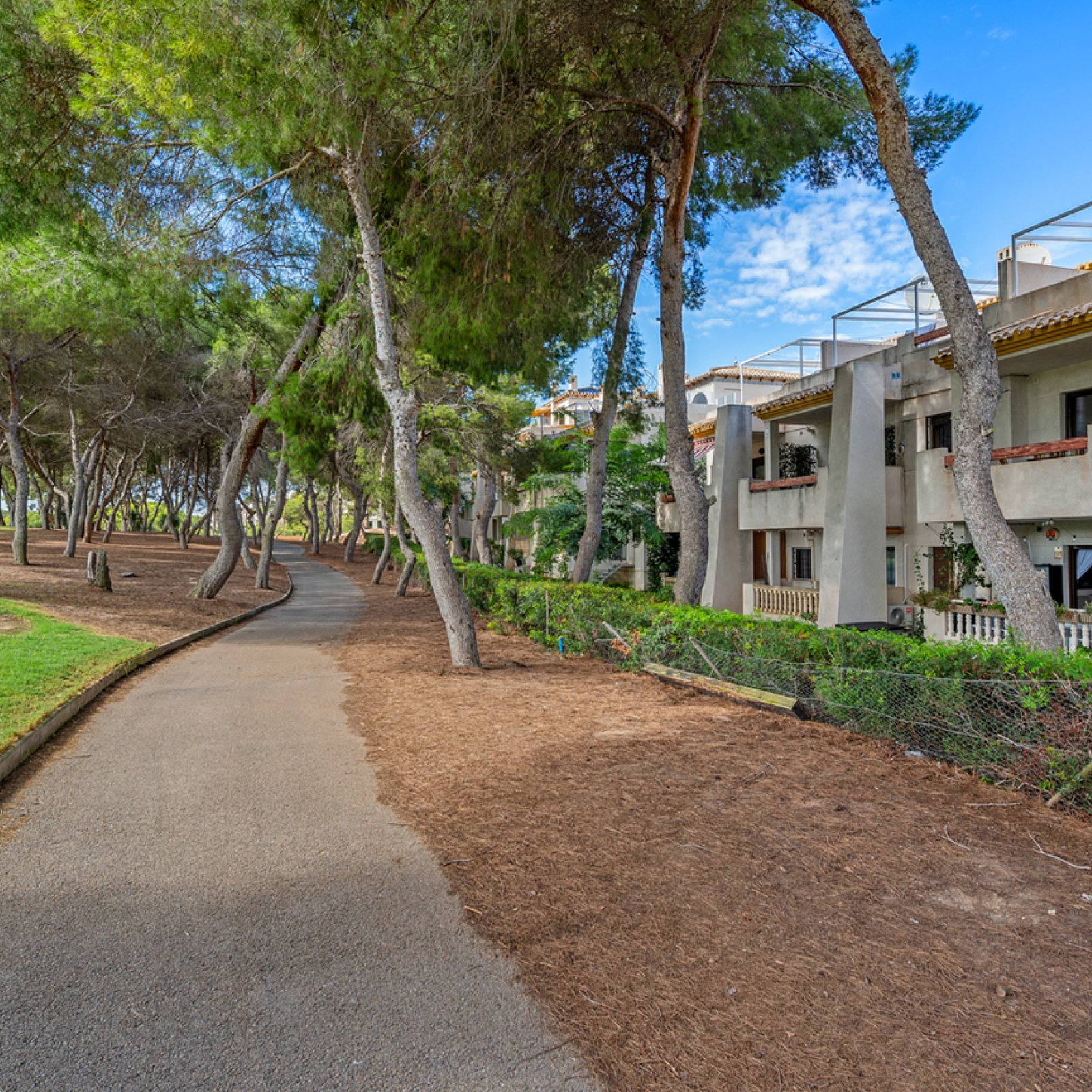 Penthouse in Dehesa de Campoamor-34