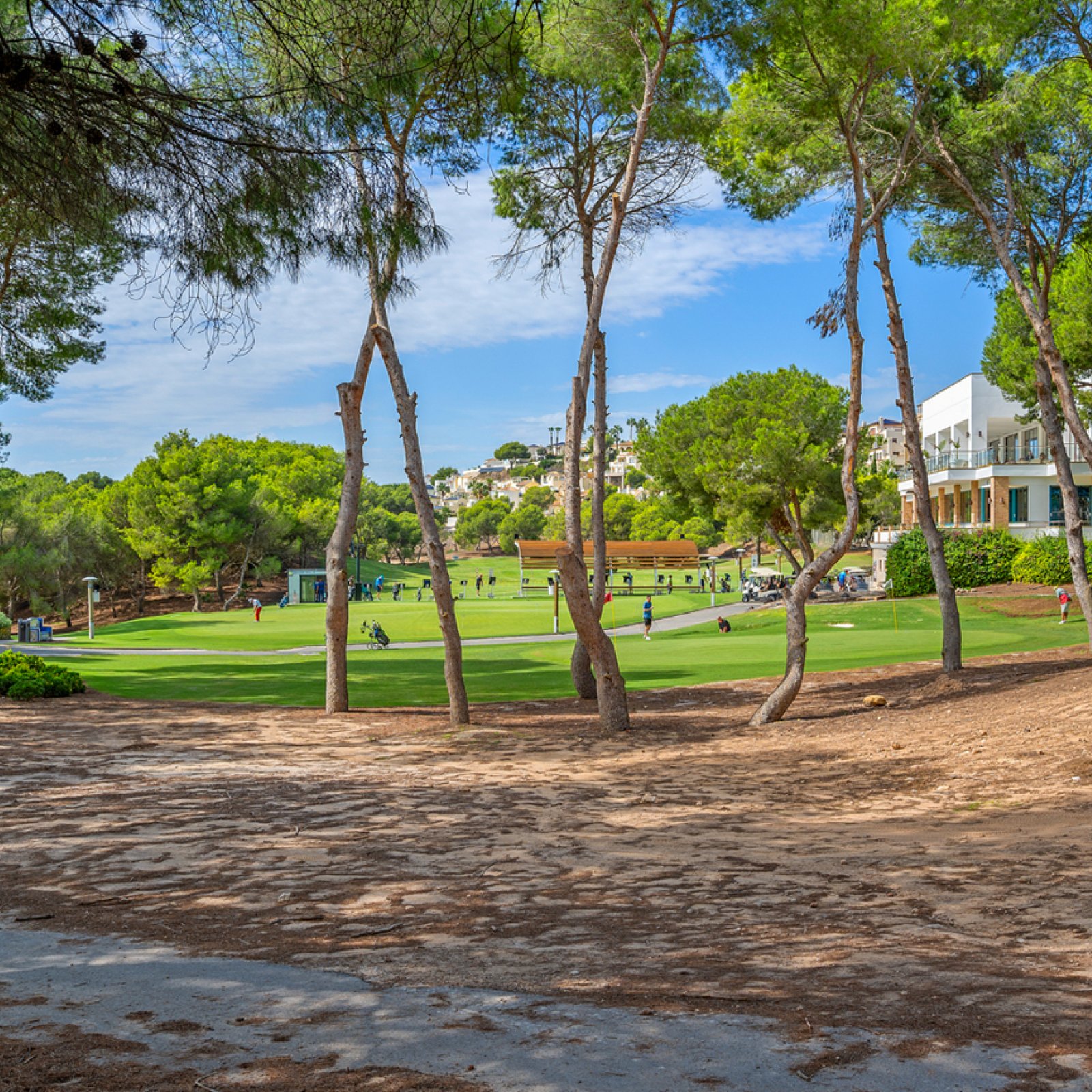 Penthouse in Dehesa de Campoamor-33