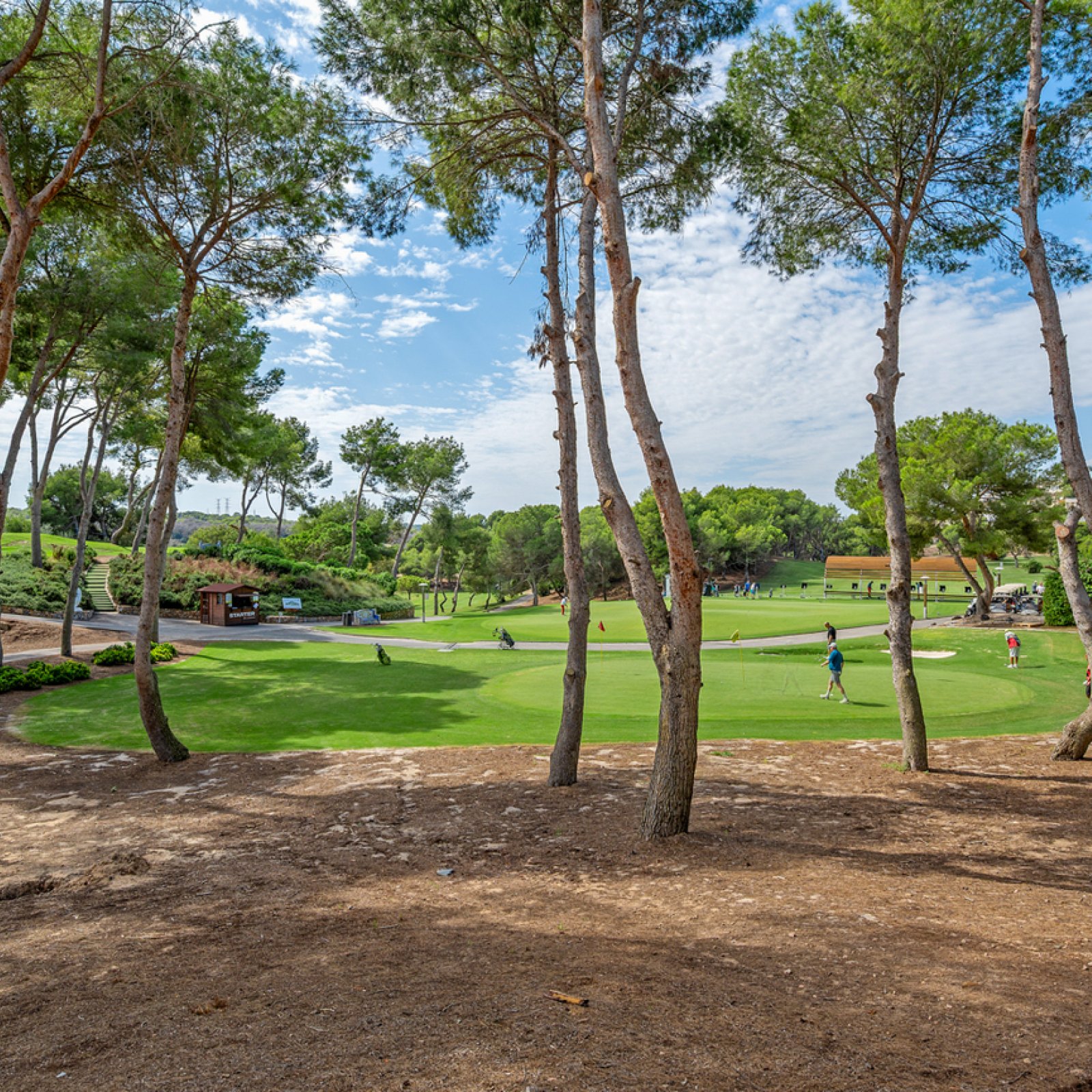 Penthouse in Dehesa de Campoamor-35