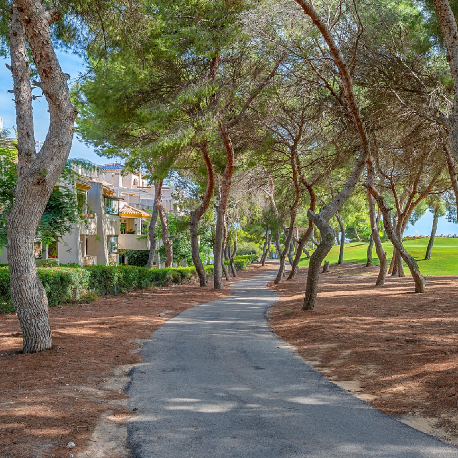 Penthouse in Dehesa de Campoamor-26