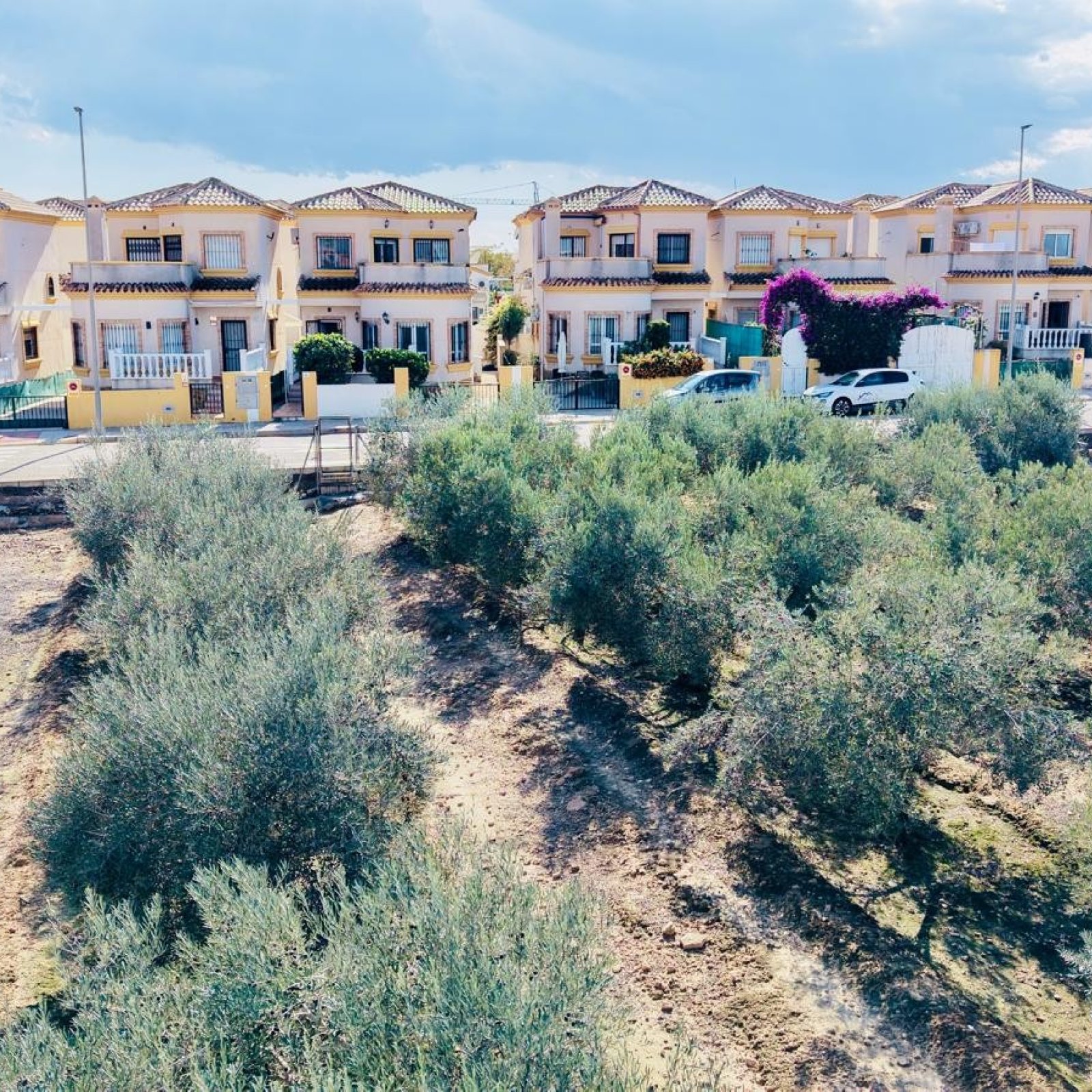  in Los Montesinos-25