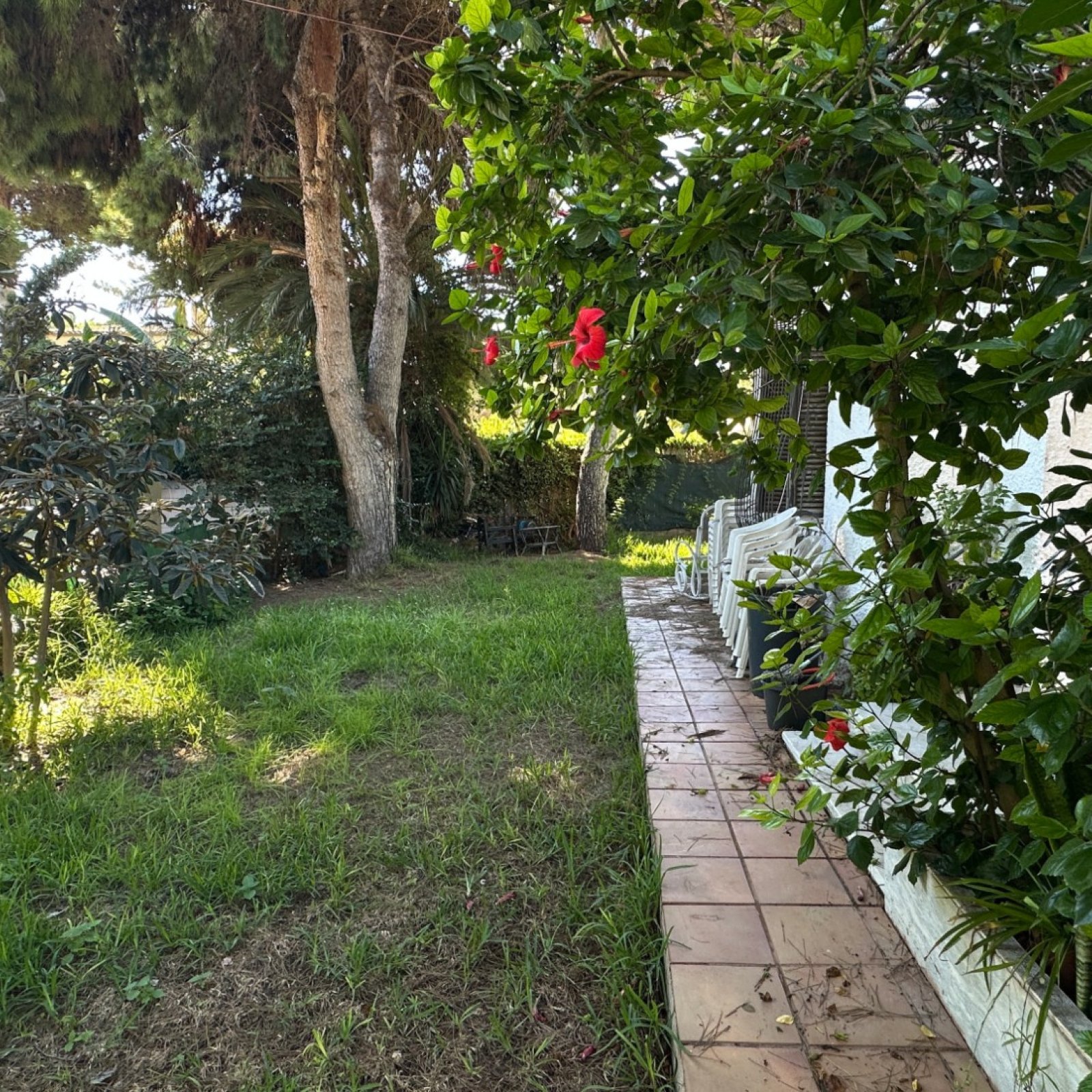  in Orihuela Costa-13