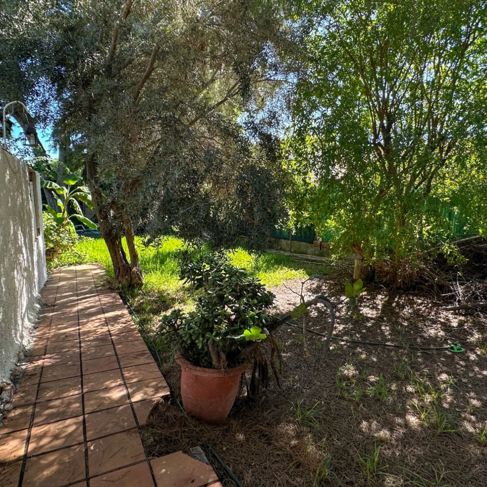  in Orihuela Costa-10