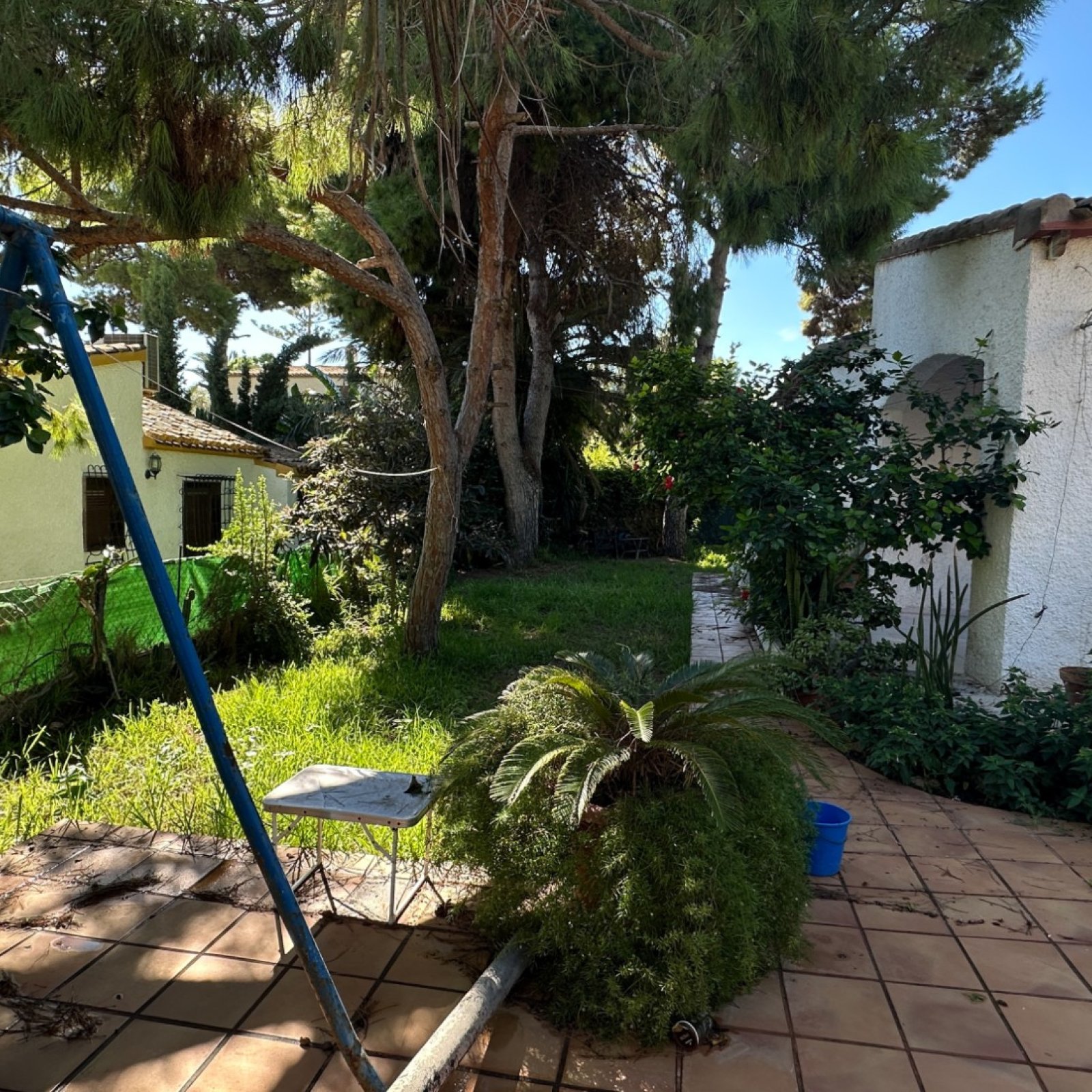  in Orihuela Costa-8