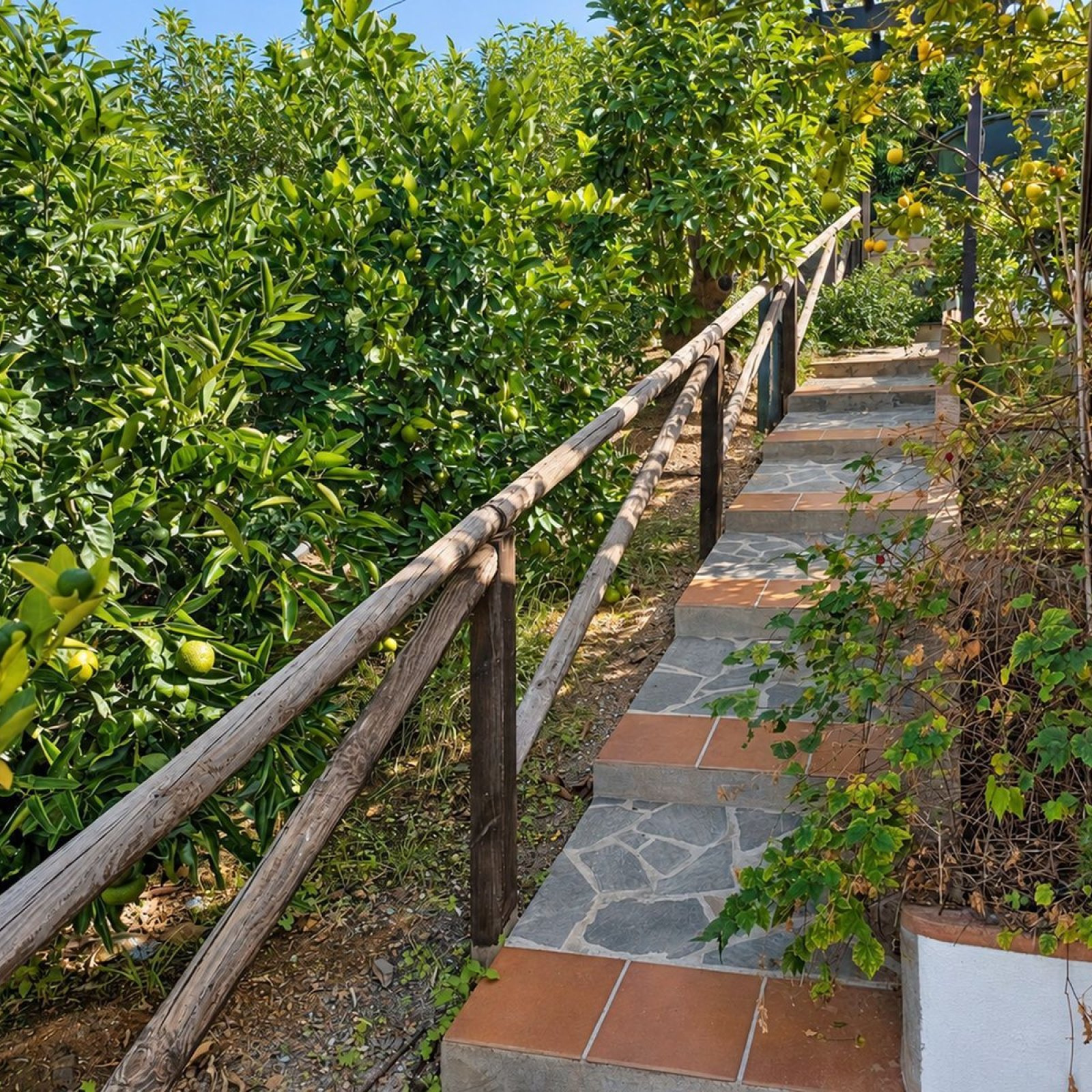  in Cómpeta-51