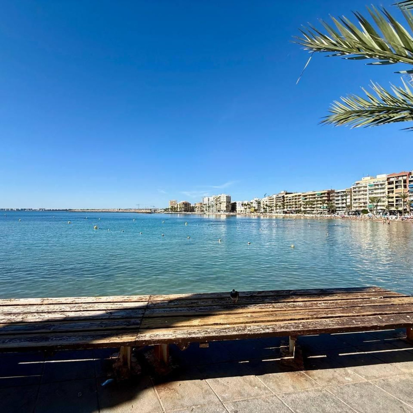  in Torrevieja-6