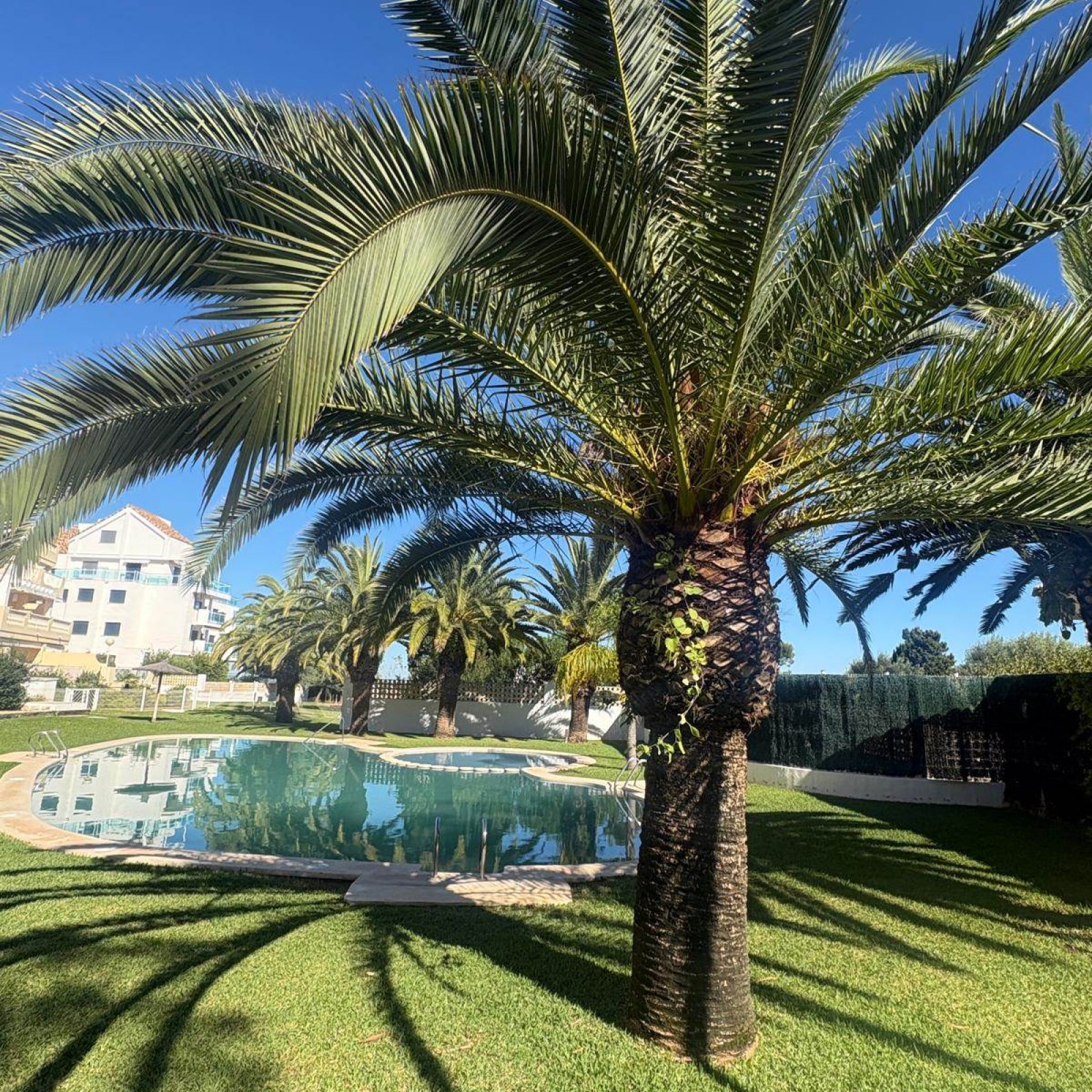 Appartement in Denia-38