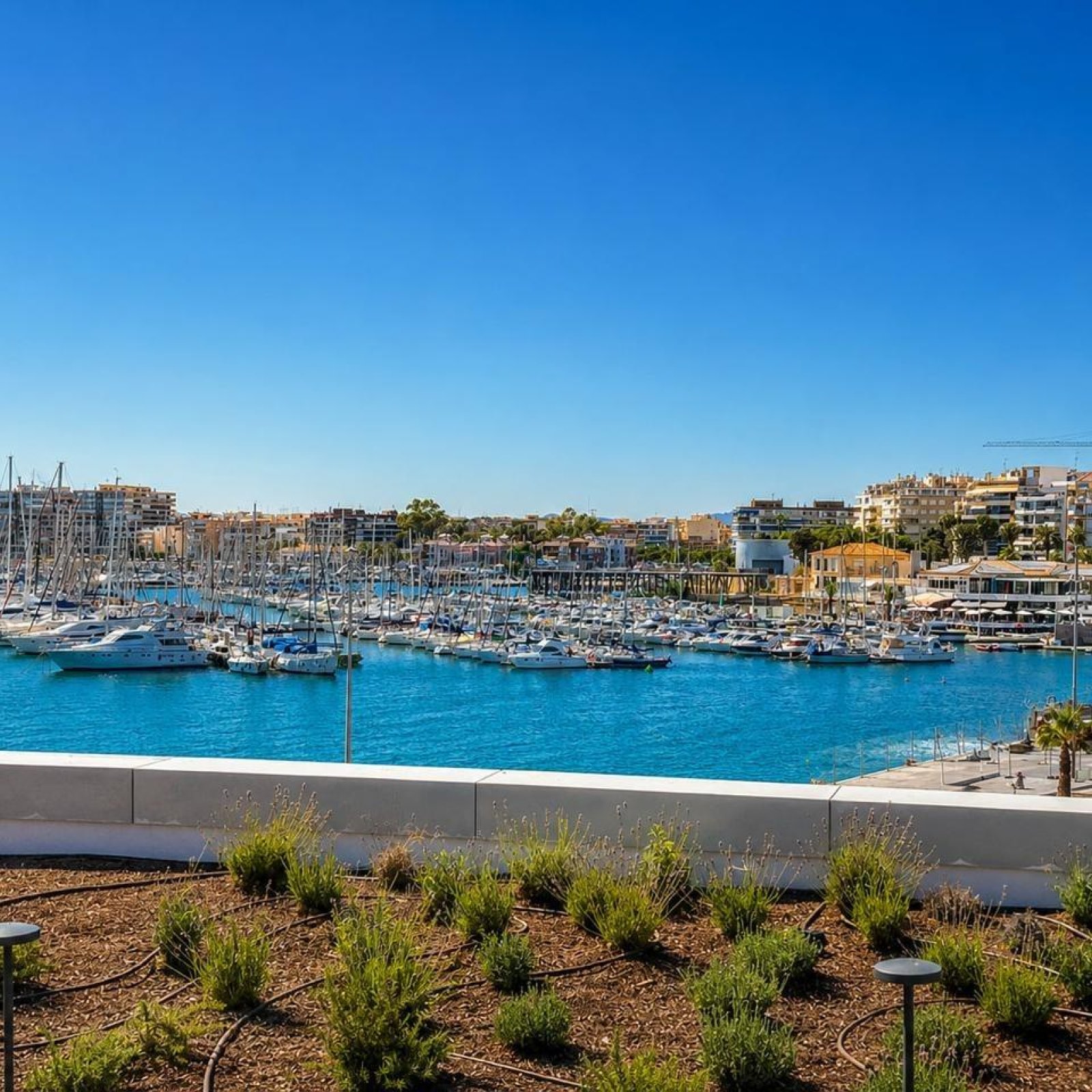 Appartement in Torrevieja-33
